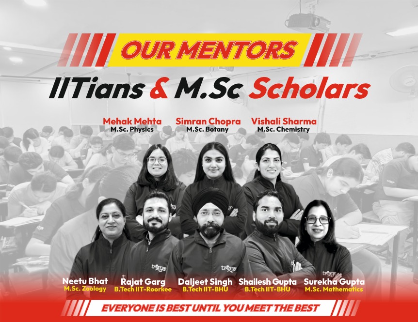 Mentors