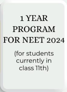 NEET 2024