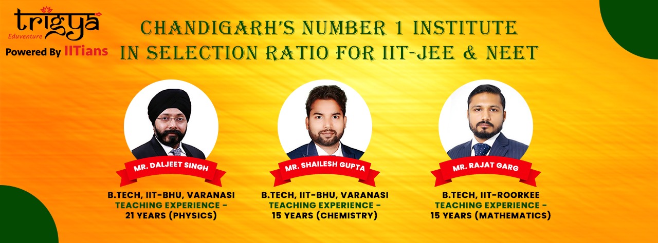 Faculty at Trigya